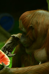 Similar image 21652389