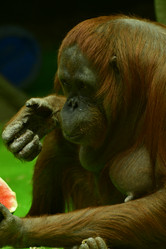 Similar image 21652391