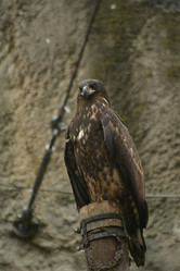 Similar image 21652393