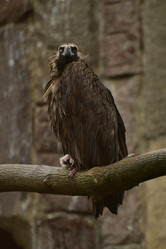 Similar image 21652394