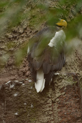 Similar image 21652397