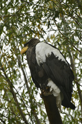 Similar image 21652398