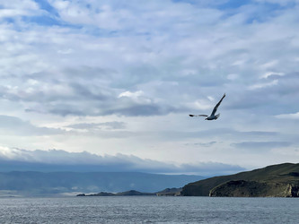 Similar image 21654469