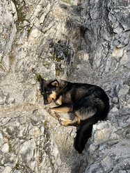 Similar image 21654498