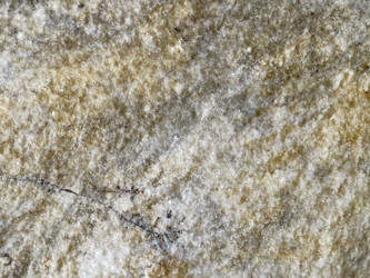 Similar image 21654700