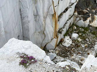 Similar image 21654508