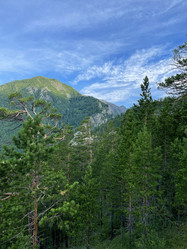 Similar image 21654512