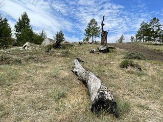 Similar image 21654515