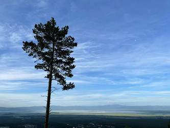 Similar image 21654520