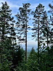 Similar image 21654535