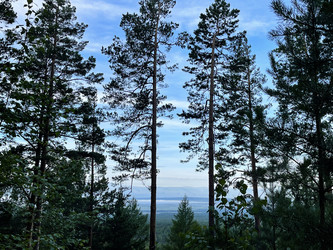 Similar image 21654540