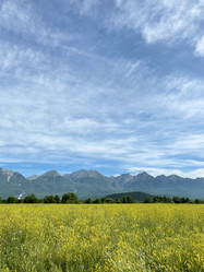 Similar image 21654545