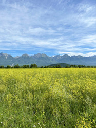 Similar image 21654546