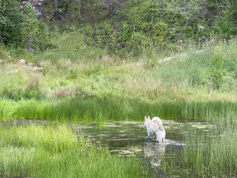 Similar image 21654549