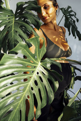 Similar image 21656855