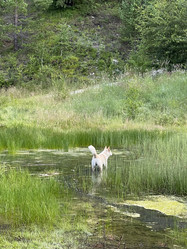 Similar image 21654551