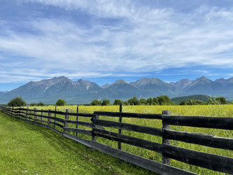 Similar image 21654564