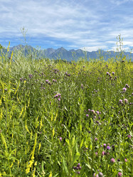 Similar image 21654568