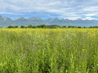 Similar image 21654574