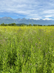 Similar image 21654576