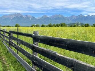 Similar image 21654578