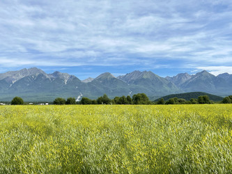 Similar image 21654580