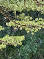 Similar image 21654592