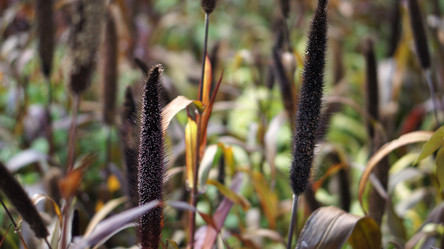 Similar image 21657522