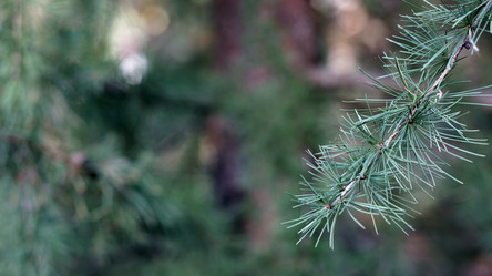 Similar image 21657523