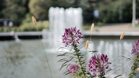 Similar image 21657524