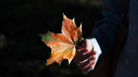 Similar image 21657525