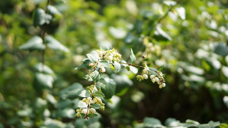 Similar image 21657526