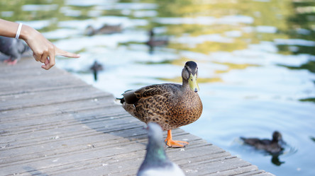 Similar image 21657528