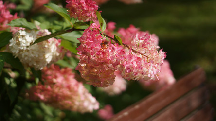 Similar image 21657529