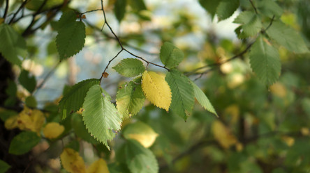 Similar image 21657530