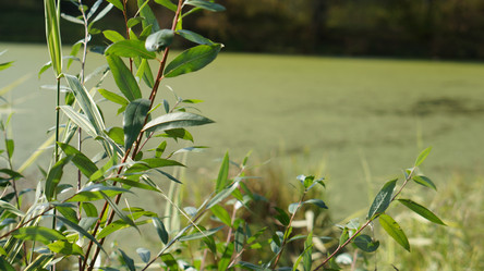 Similar image 21657531