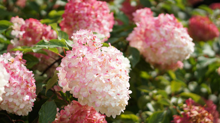 Similar image 21657533