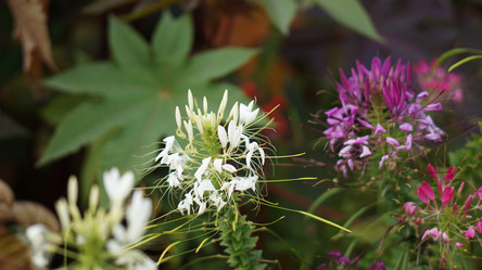 Similar image 21657534