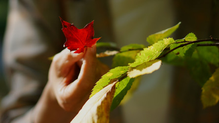 Similar image 21657535