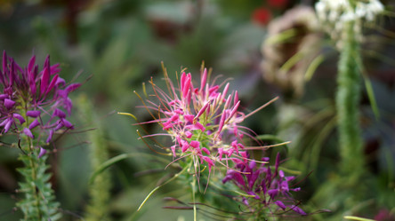 Similar image 21657536