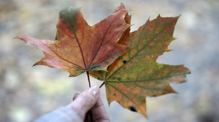 Similar image 21657538