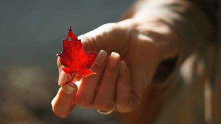 Similar image 21657539