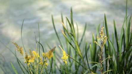 Similar image 21657542