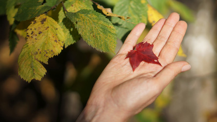 Similar image 21657543