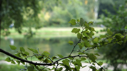 Similar image 21657544