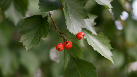 Similar image 21657545