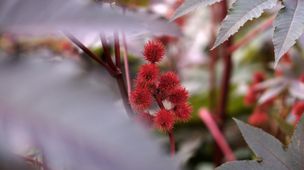 Similar image 21657377