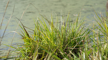 Similar image 21657378