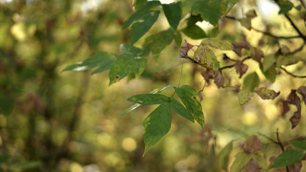 Similar image 21657379