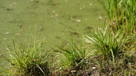 Similar image 21657380